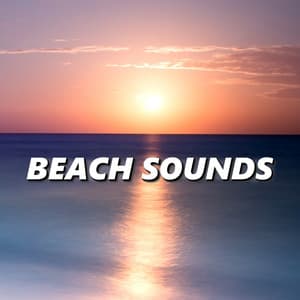 Beach Sounds - Beach Sounds and Ocean Waves