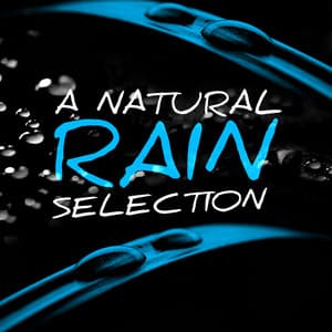 A Natural Rain Selection - Natural Rain Sounds