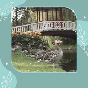 Uplifting - Spa Days at Home - Spa Music Hour