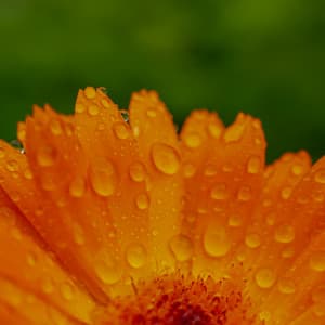 1AM Water Sounds: The Power Of Water - 24H Rain Sounds