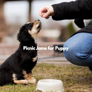 Picnic Jams for Puppy - Jazz & Study Playlist