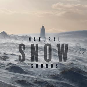Natural Snow Sounds: Snowy Ocean and Winter Wind - Calm Music Masters Relaxation