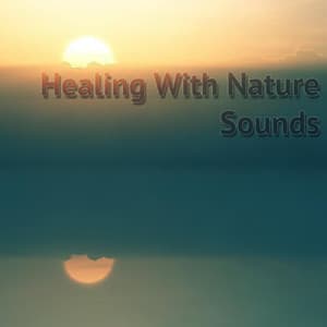 Healing With Nature Sounds - Meditación Musical