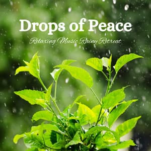 Drops of Peace: Relaxing Music Rainy Retreat - Dark Music Specialists