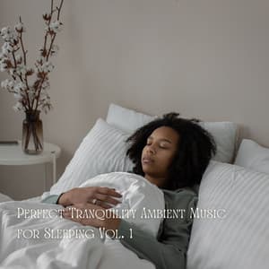 Perfect Tranquility Ambient Music for Sleeping Vol. 1 - The Sleep Phasers