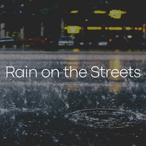 Rain on the Streets - Rainfall Meditations