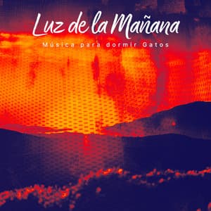 Luz de la Mañana - Música para dormir Gatos