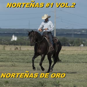 Norteñas #1 Vol.2 - Nortenas De Oro