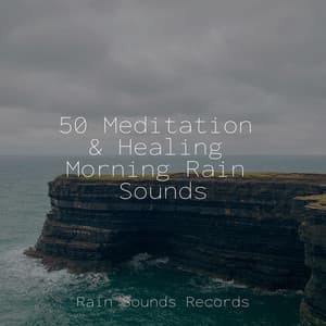 50 Meditation & Healing Morning Rain Sounds - Sonidos de la Naturaleza Relajacion