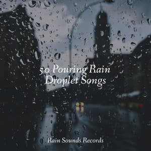 50 Pouring Rain Droplet Songs - Nature Sounds