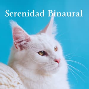 Melodías De Gatos En La Lluvia: Serenidad Binaural Para Momentos Zen - Moldeadores binaurales