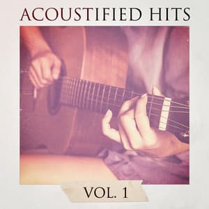 Acoustified Hits, Vol. 1 - Akustische Gitarren Musik