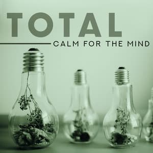 Total Calm for the Mind – Soothe Your Thoughts, Heal Stress Problems : New Age Calming Tones - Relaxation New Age Melodies