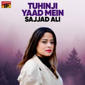 Tuhinji Yaad Mein - Sajjad Ali
