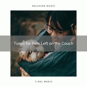 4 Pets Left on the Couch - Relaxing Music for Dogs
