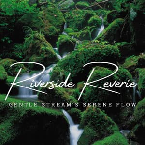 Mystic River Streams: Meditative Water Serenity - Water Meditations