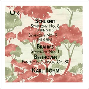 Schubert: Symphony Nos. 8 & 9 - Brahms: Symphony No. 1 - Wiener Philharmoniker