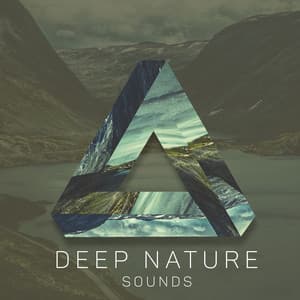 Deep Nature Sounds - Healing Therapy, Natural Energy, Stress Relief - Lover of New Age Nature
