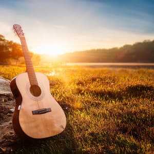 Melodías En Cuerdas: Exploración De La Música De Guitarra - Guitarra Surquera