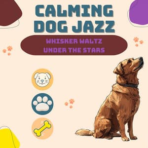 Whisker Waltz Under the Stars - Calming Dog Jazz