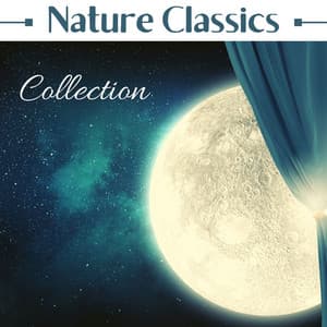 Nature Classics Collection: 101 Minutes Rain Sounds, Peaceful Natural Sound to Sleep Through the Night - Nature Caldwell