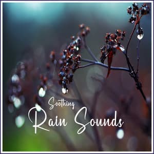 Soothing Rain Sounds - Rain Sounds For Sleep