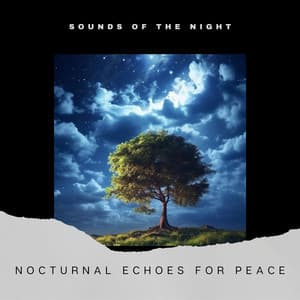 Nocturnal Echoes for Peace - Sounds of the Night