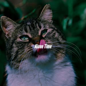 Alone Time - Work from Home Groove