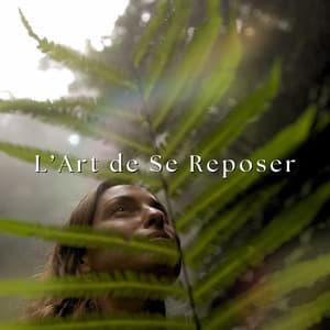 L’Art de Se Reposer: Mon Oasis de Quiétude - Spa Musique Massage