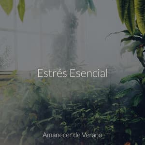 Estrés Esencial - Música para Correr