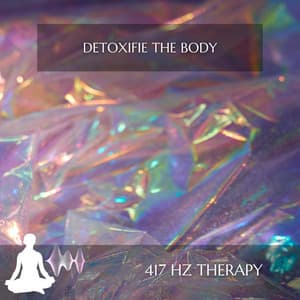Detoxifie the Body - 417 Hz Therapy