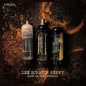 Back On The Controls - Lee "Scratch" Perry