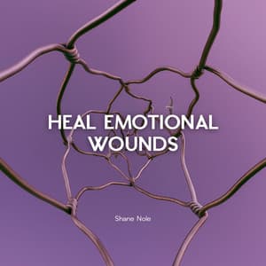 Heal Emotional Wounds - Shane Nole