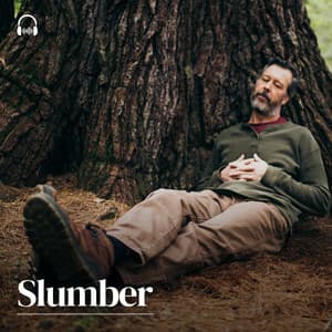 Slumber - Hi Freq Samples