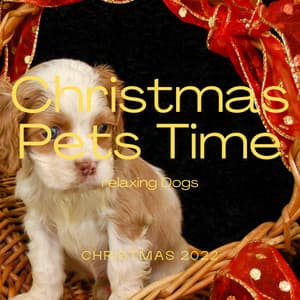 2 0 2 2 Christmas Pets Time - Sleep Doggie
