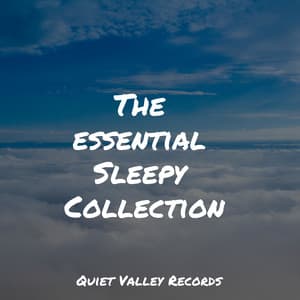 The essential Sleepy Collection - The Relaxation Principle
