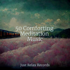 50 Comforting Meditation Music - Dormir