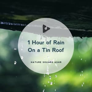 1 Hour of Rain On A Tin Roof - Nature Sounds ASMR