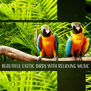 Beautiful Exotic Birds with Relaxing Music - Deep in the Jungle, Tropical Sounds for Meditation, Sleep - Exotic Nature Kingdom