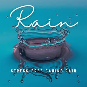 Rainy Woofs: Music to Ease Your Dog's Stress - Musica Relajante Specialistas
