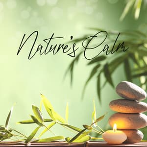 Nature’s Calm: Relaxing Sounds for Spa and Massage - Calm Sea Ambient