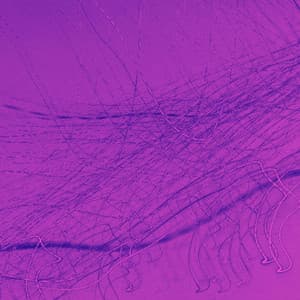 Music for Nocturnal Nite - Happy Morning Music