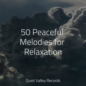 50 Peaceful Melodies for Relaxation - Nature Chillout