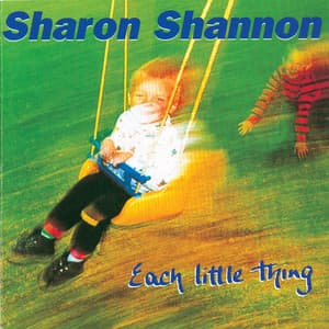 Each Little Thing - Sharon Shannon