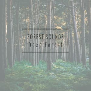 Deep Forest - Forest Sounds