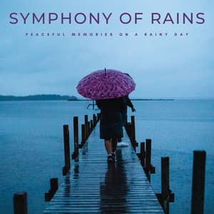 Symphony Of Rains: Peaceful Memories On A Rainy Day - Mixed Noise Bank