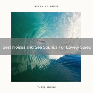 2020 Best: Best Noises and Sea Sounds For Lovely Sleep - Wave Sounds For Sleep