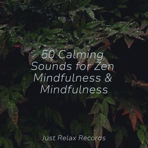 50 Calming Sounds for Zen Mindfulness & Mindfulness - Meditación
