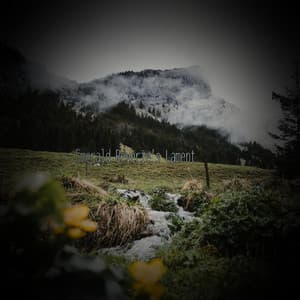 Emerald Reverie's Lament - Minds United