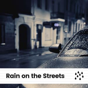 Rain on the Streets - The Nature Soundscapes